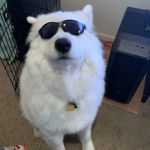 Meet your Posher, Christopher